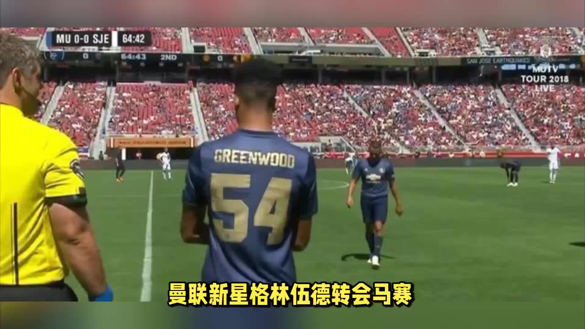步避